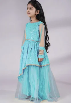 Embroidered Georgette Gown in Sky Blue