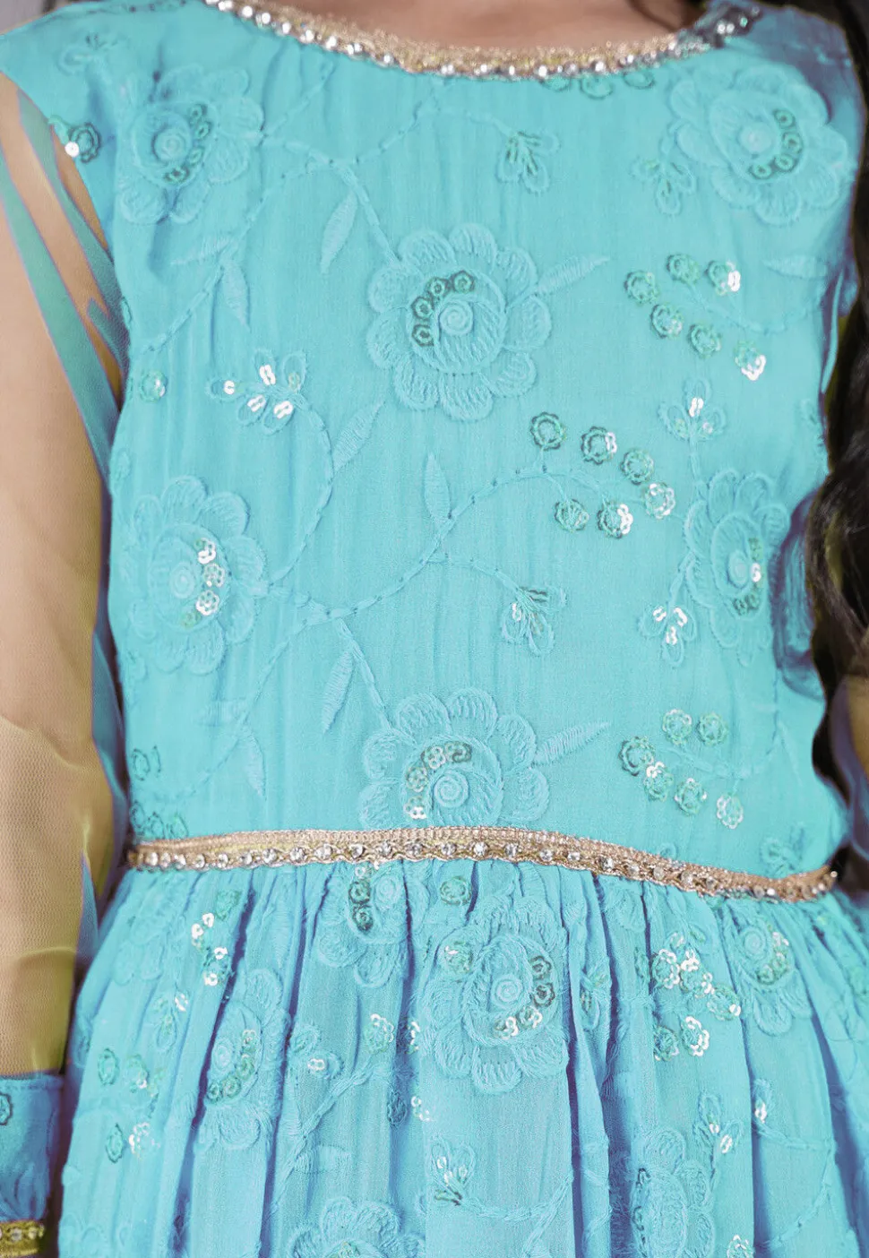 Embroidered Georgette Gown in Sky Blue