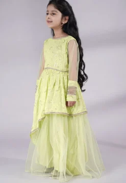 Embroidered Georgette Gown in Light Green