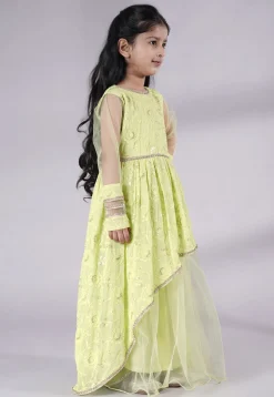 Embroidered Georgette Gown in Light Green