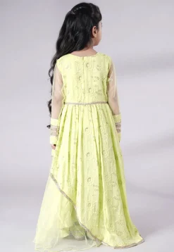 Embroidered Georgette Gown in Light Green