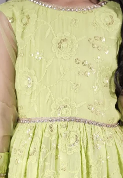 Embroidered Georgette Gown in Light Green