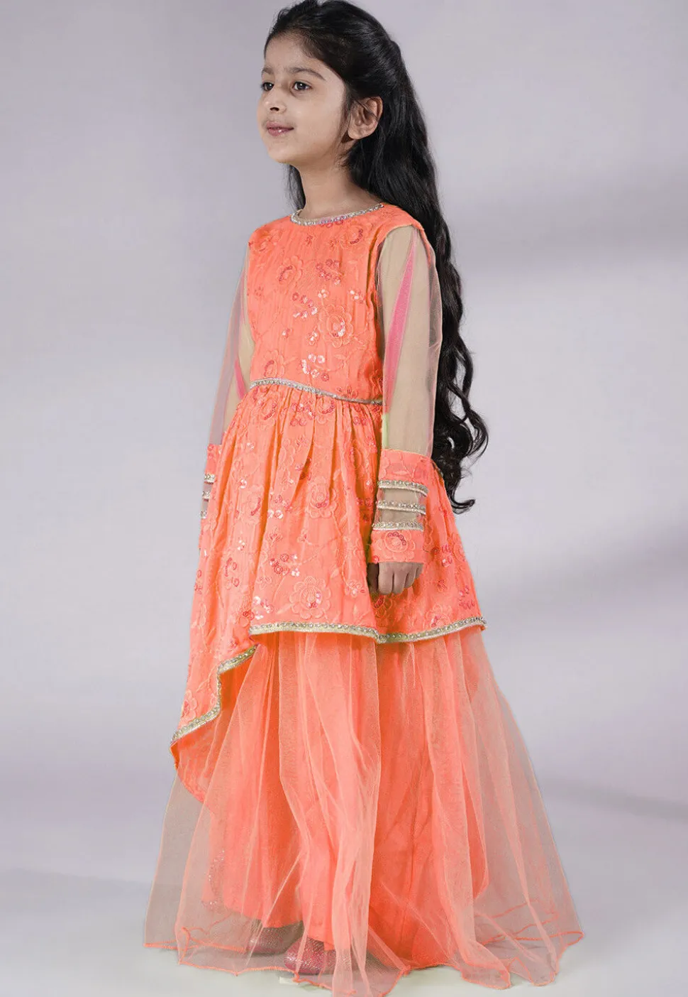 Embroidered Georgette Gown in Peach