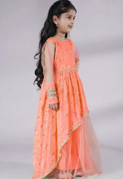 Embroidered Georgette Gown in Peach