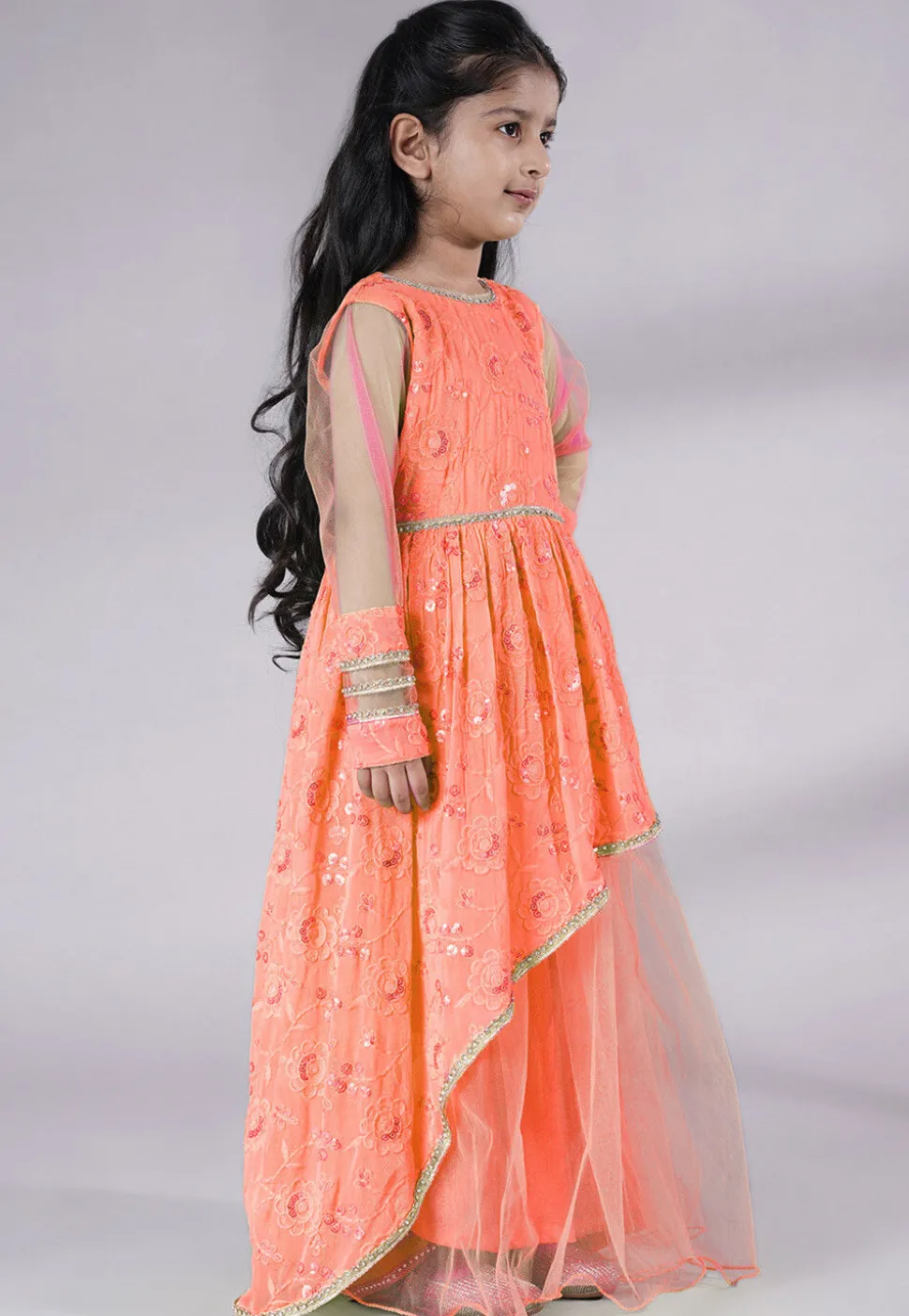 Embroidered Georgette Gown in Peach