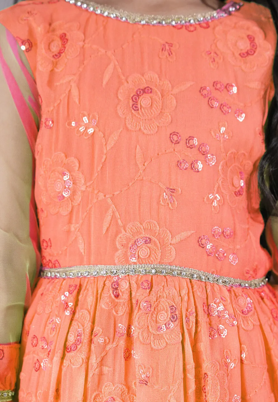 Embroidered Georgette Gown in Peach