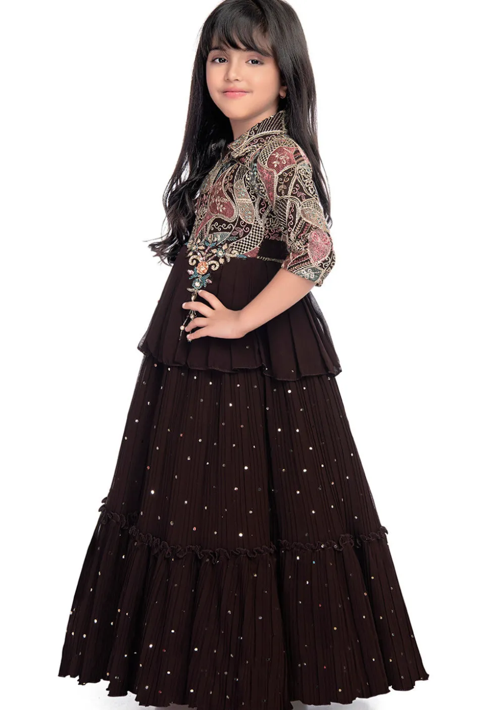 Embroidered Georgette Gown in Wine