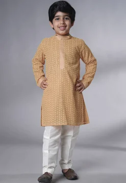 Embroidered Georgette Kurta Set in Beige