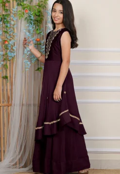 Embroidered Georgette Layered Gown in Wine