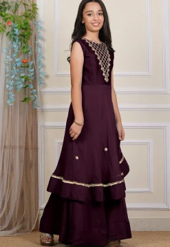 Embroidered Georgette Layered Gown in Wine