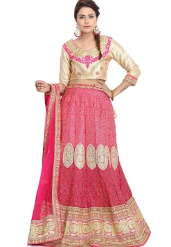 Embroidered Georgette Lehenga in Pink