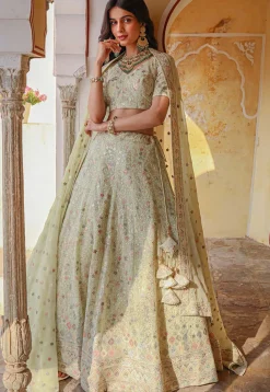 Embroidered Georgette Lehenga in Light Olive Green