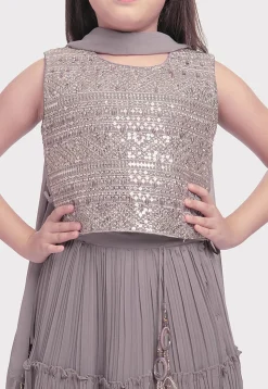 Embroidered Georgette Lehenga in Grey