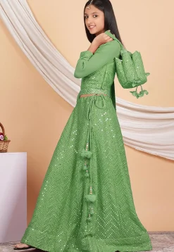Embroidered Georgette Lehenga in Light Green