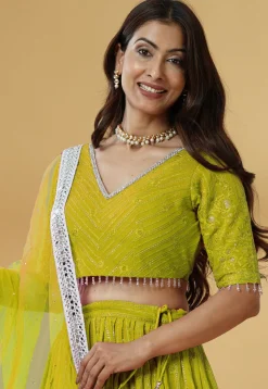 Embroidered Georgette Lehenga in Light Green