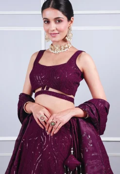 Embroidered Georgette Lehenga in Wine