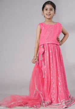 Embroidered Georgette Lehenga in Pink