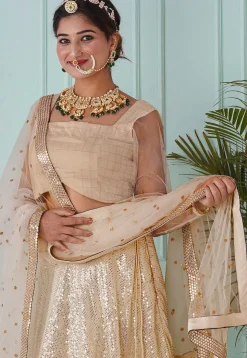 Embroidered Georgette Lehenga in Beige