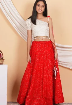 Embroidered Georgette Lehenga in Red