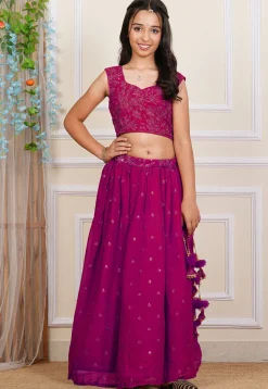 Embroidered Georgette Lehenga in Fuchsia