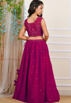 Embroidered Georgette Lehenga in Fuchsia