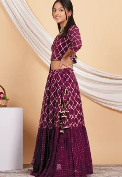 Embroidered Georgette Lehenga in Magenta