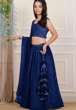 Embroidered Georgette Lehenga in Royal Blue