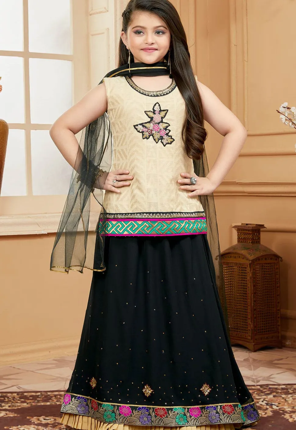 Embroidered Georgette Lehenga in Black