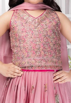 Embroidered Georgette Lehenga in Pink