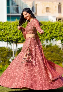 Embroidered Georgette Lehenga in Dark Peach