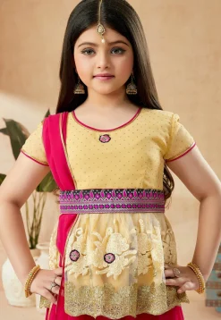 Embroidered Georgette Lehenga in Fuchsia