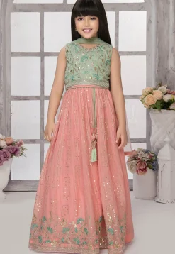 Embroidered Georgette Lehenga in Peach