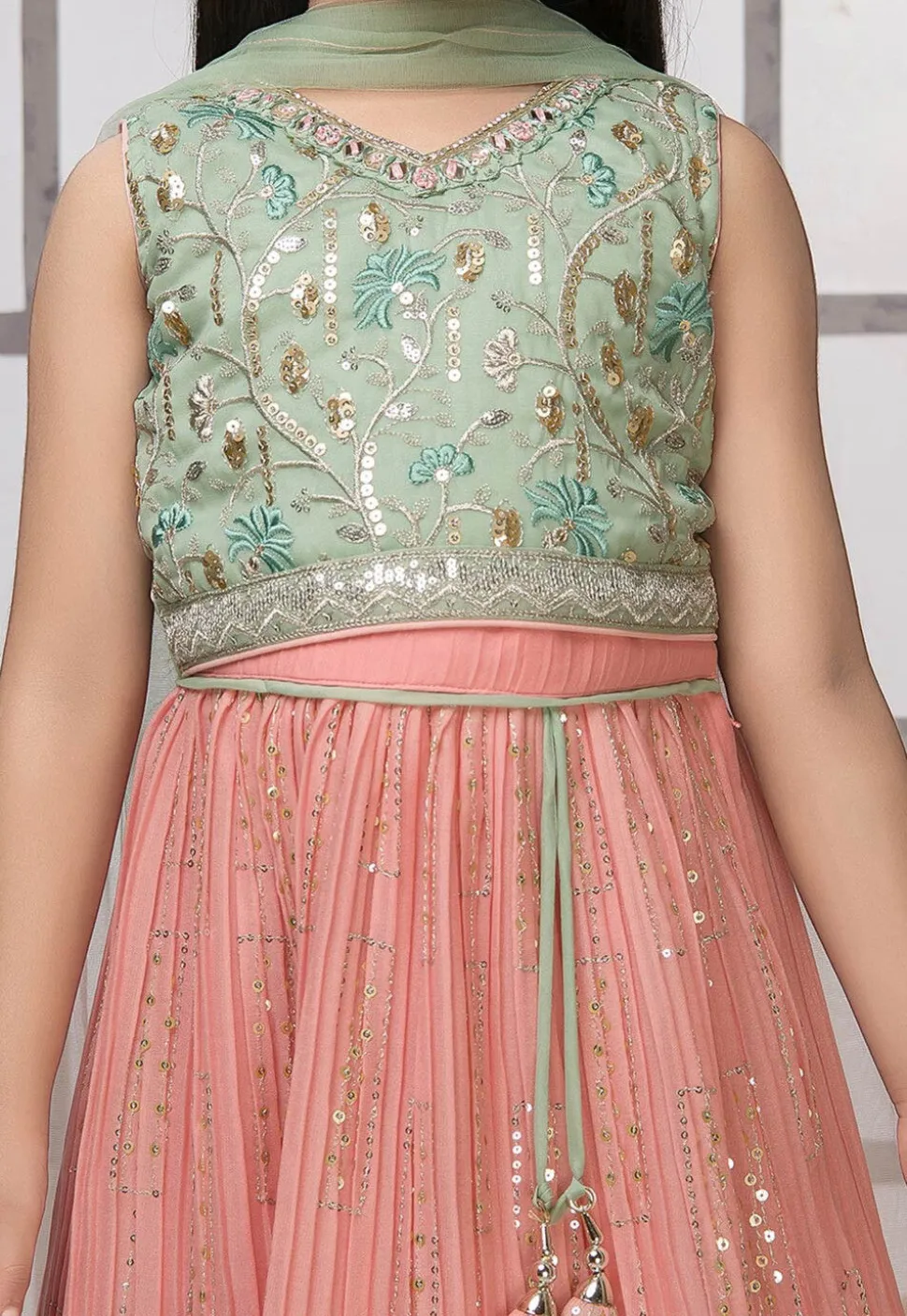 Embroidered Georgette Lehenga in Peach