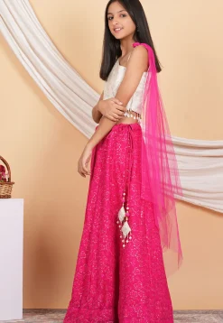 Embroidered Georgette Lehenga in Fuchsia