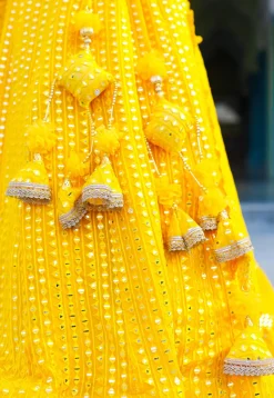 Embroidered Georgette Lehenga in Yellow