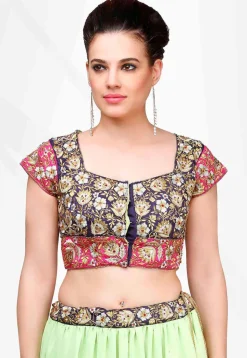 Embroidered Georgette Lehenga in Light Green