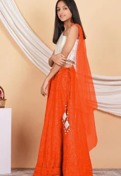 Embroidered Georgette Lehenga in Orange