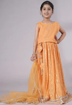 Embroidered Georgette Lehenga in Light Orange