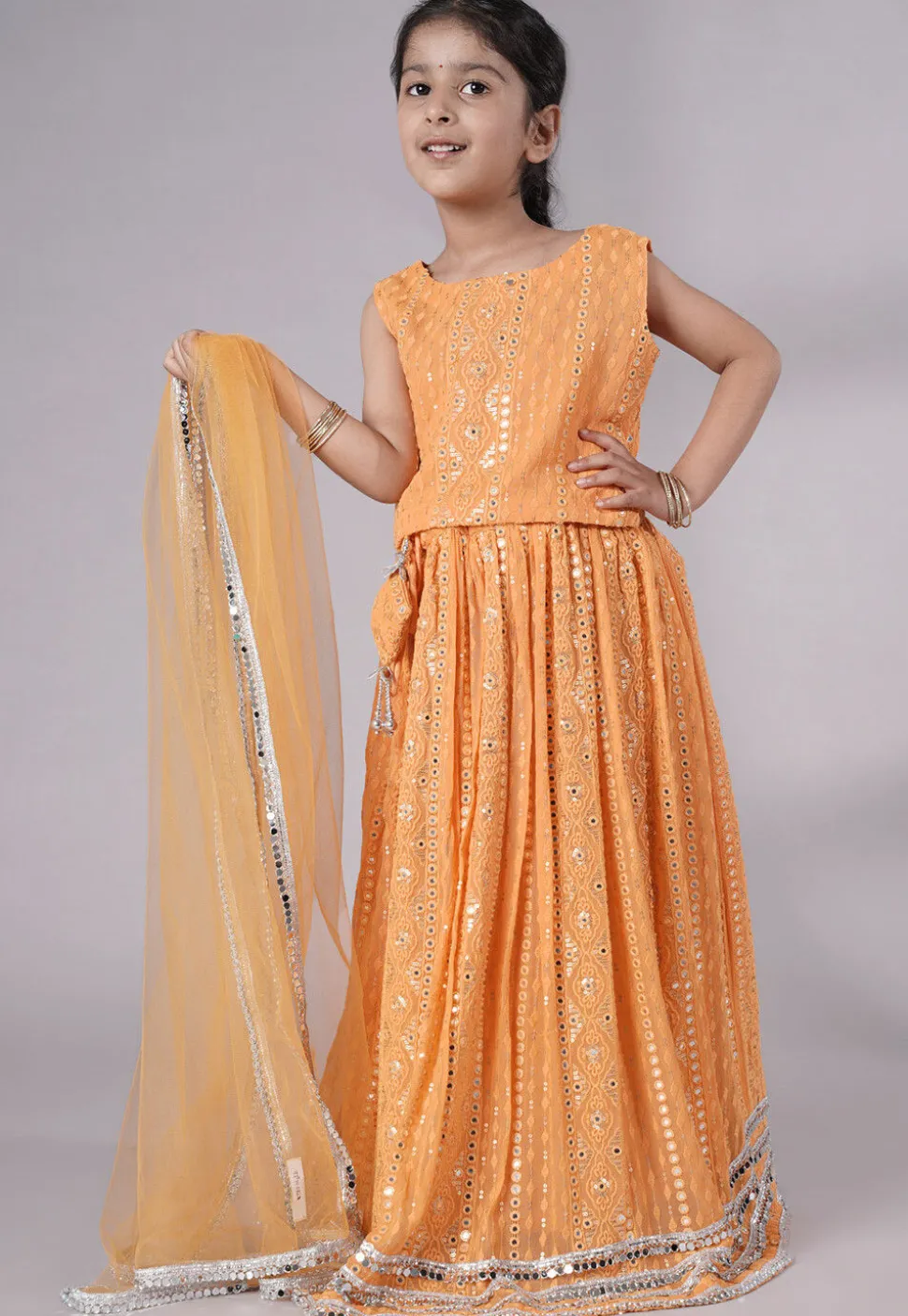 Embroidered Georgette Lehenga in Light Orange