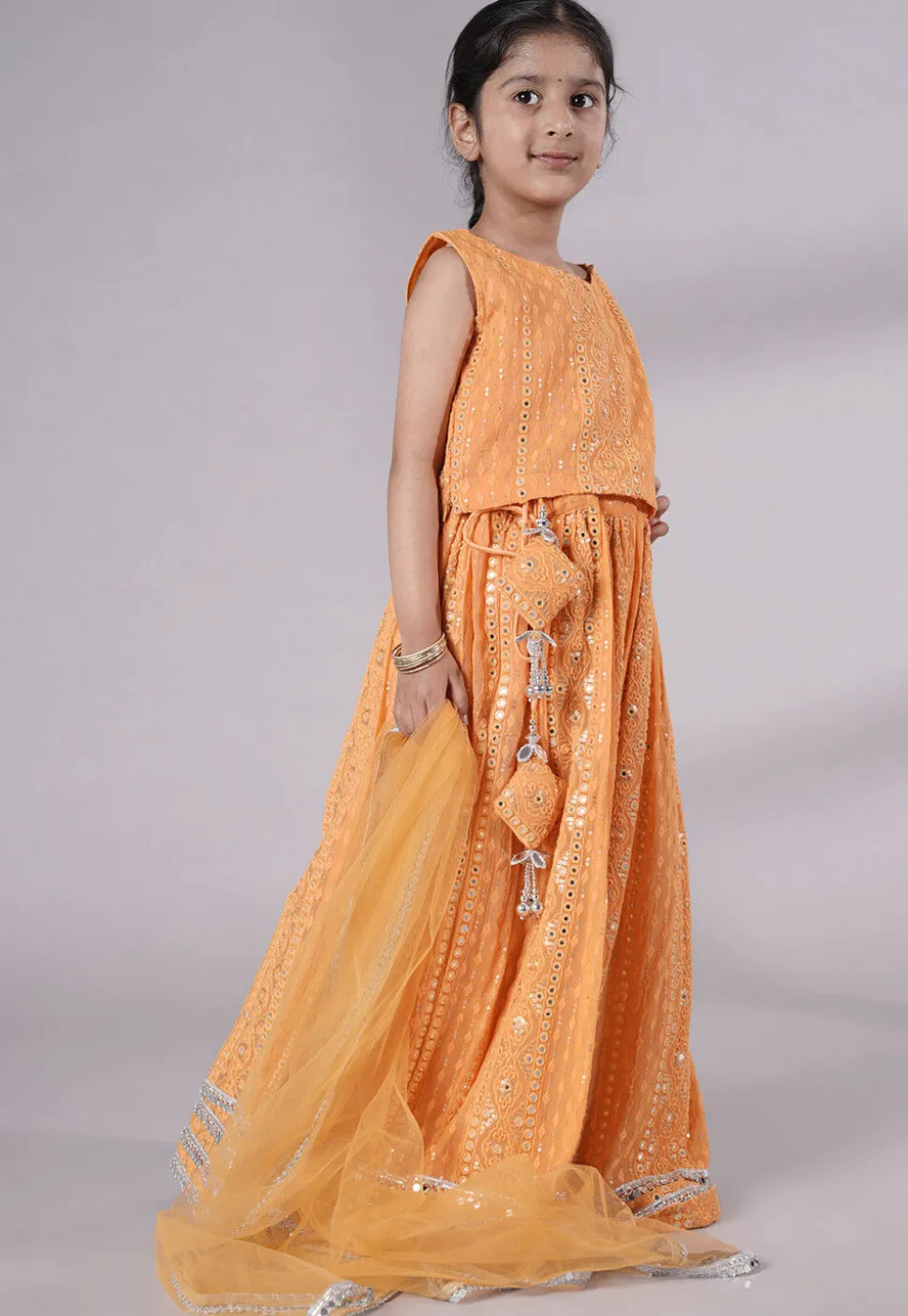 Embroidered Georgette Lehenga in Light Orange