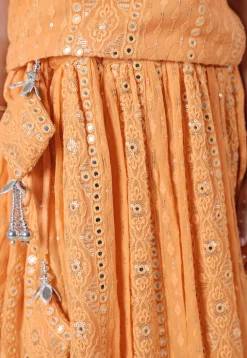 Embroidered Georgette Lehenga in Light Orange