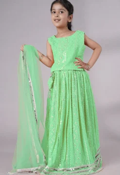 Embroidered Georgette Lehenga in Light Green