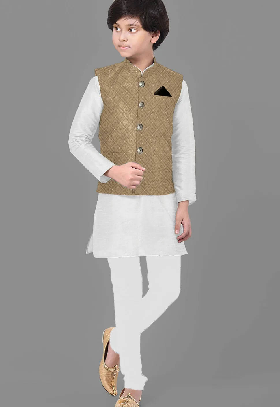 Embroidered Georgette Nehru Jacket in Dark Begie