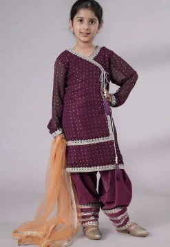 Embroidered Georgette Punjabi Suit in Purple
