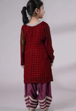 Embroidered Georgette Punjabi Suit in Maroon