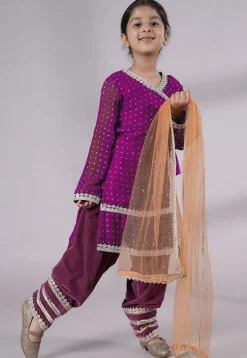 Embroidered Georgette Punjabi Suit in Magenta