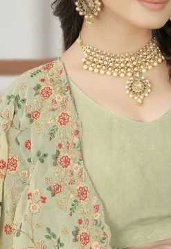 Embroidered Georgette Saree in Light Green