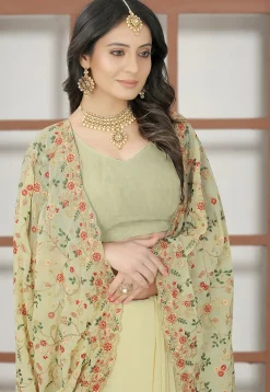 Embroidered Georgette Saree in Light Green