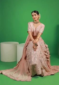 Embroidered Georgette Scalloped Lehenga in Light Pink