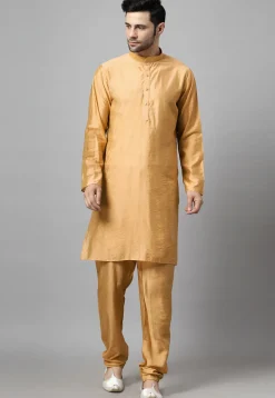Embroidered Georgette Sherwani in Light Beige